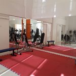 Mirrors for home gym 3